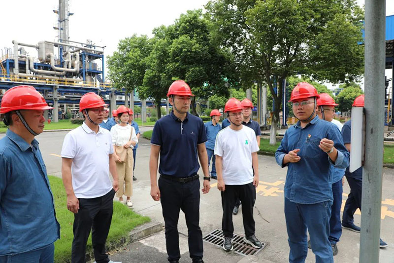 1693016163690216.jpg 01.jpg